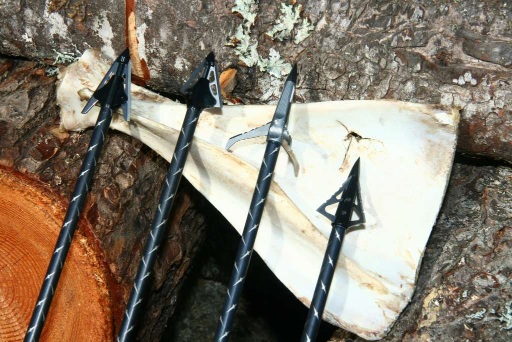 Gaining an Edge With Sharp Broadheads Shoot On