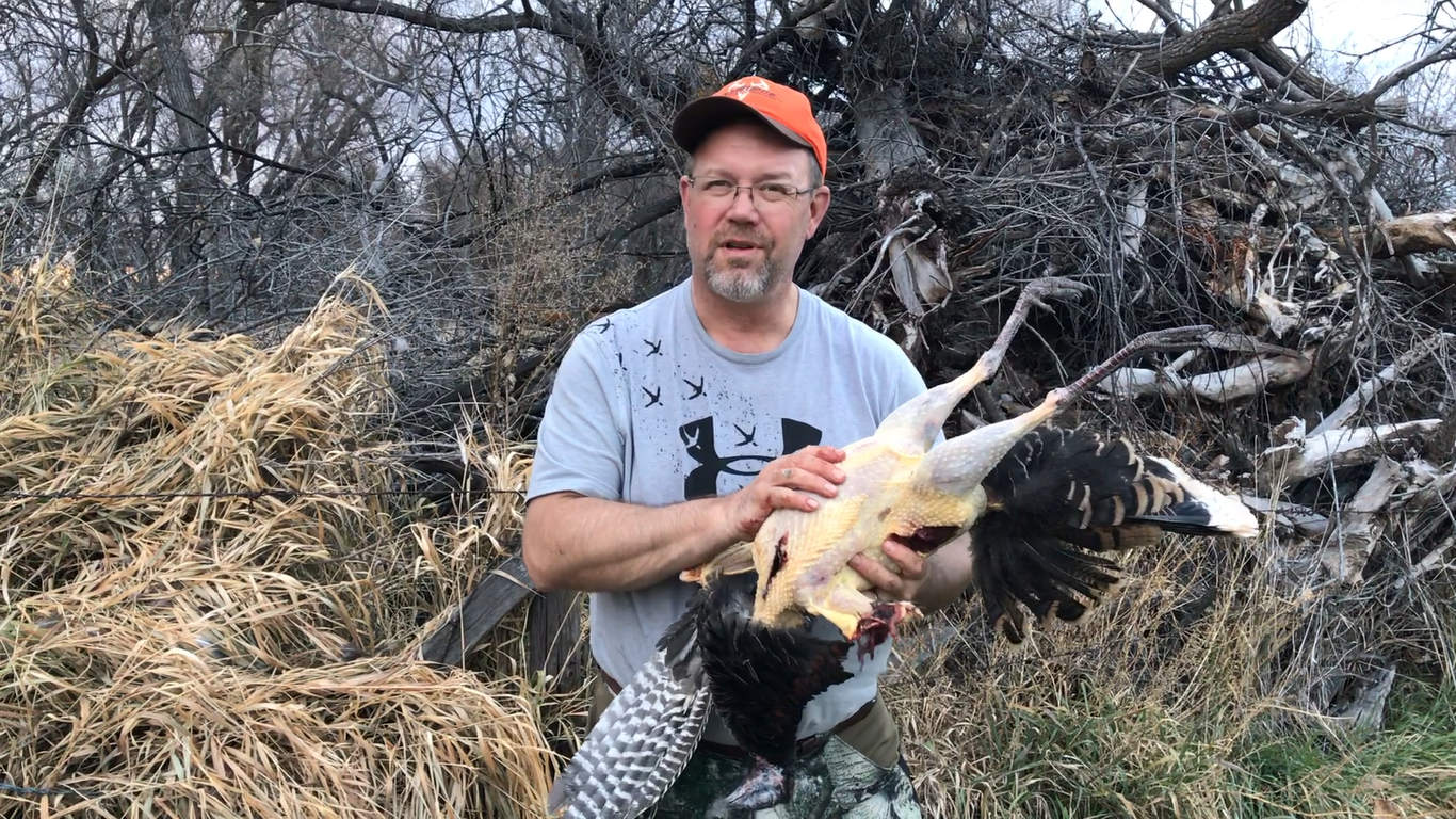 how to field dress a turkey How to Field Dress a Turkey Step by Step