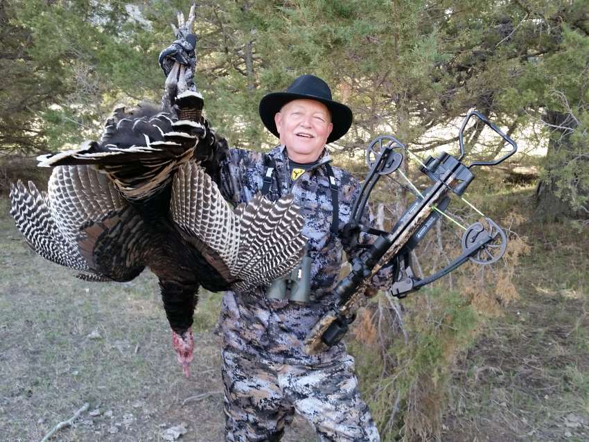 TRUGLO's Titanium Broadheads Tough and Dependable Shoot On