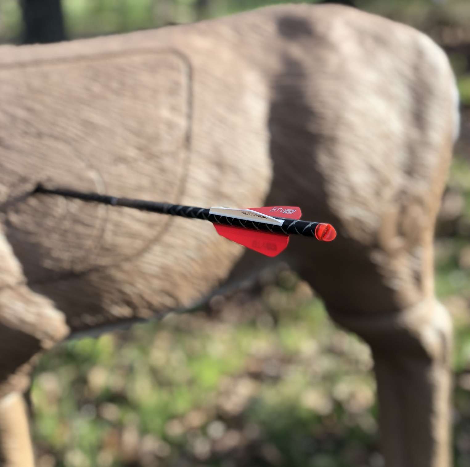 Choosing Your First Crossbow?  Focus On These 2 Types - h5wy8n0