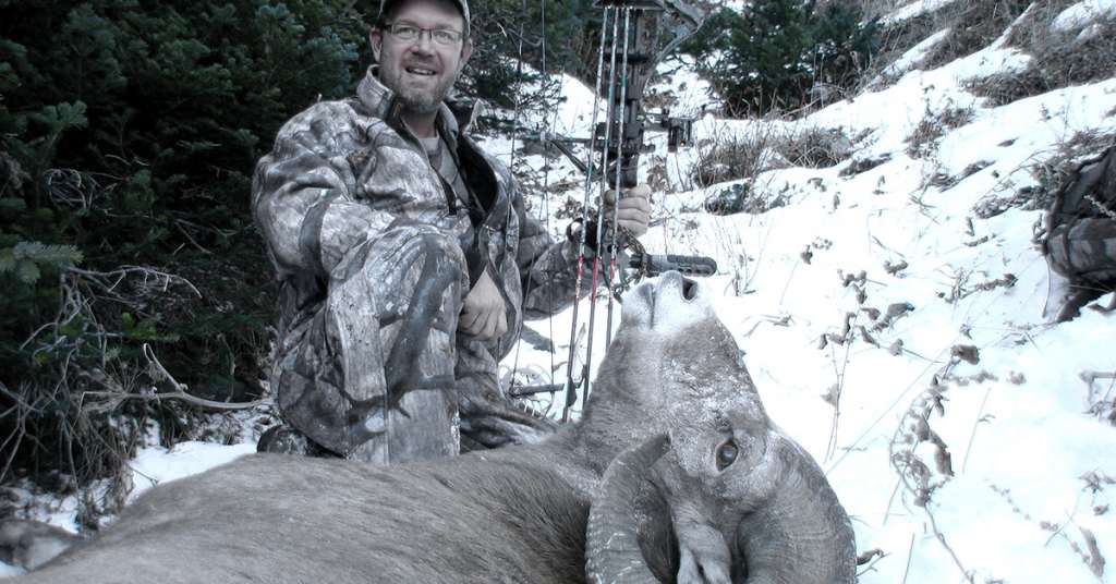 Understanding the Three Axes of Bow Sight Adjustment Shoot On