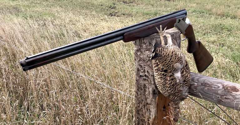 Field Test: Browning's Mighty Citori | Shoot On