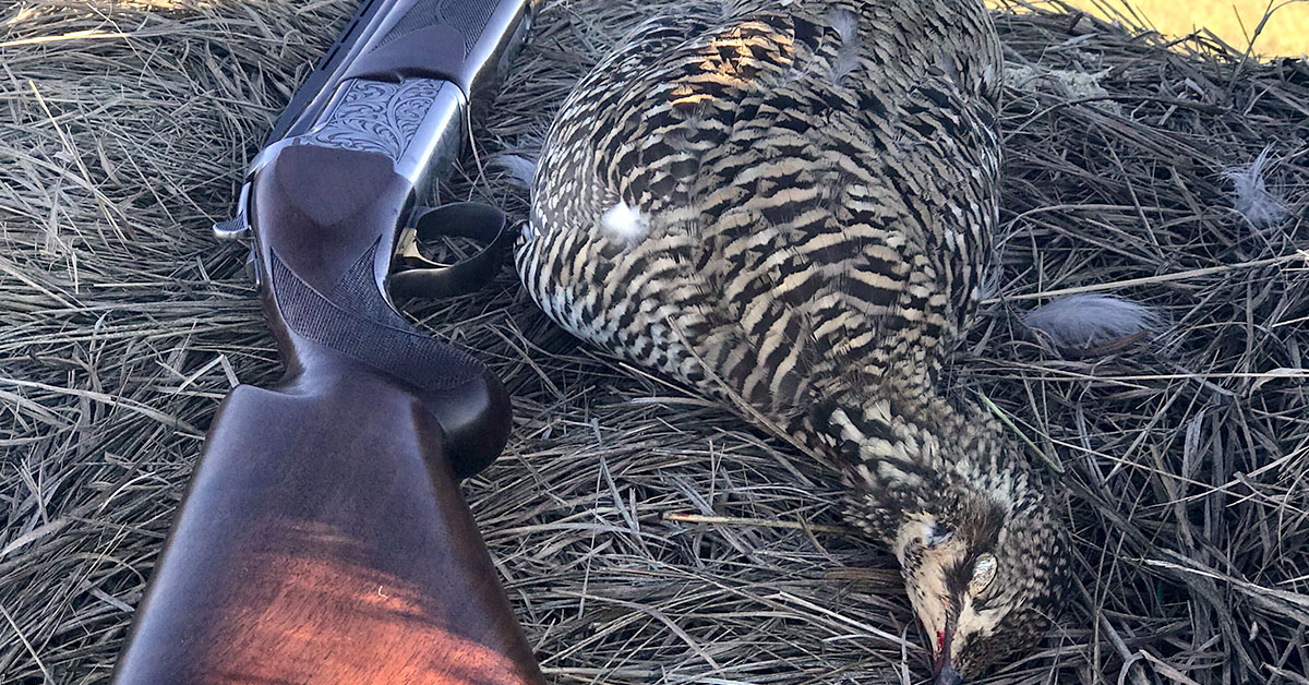 Field Test: Browning's Mighty Citori | Shoot On