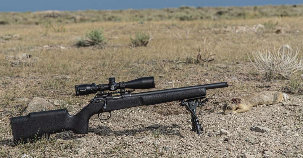 Field Test: CZ 457 Pro Varmint Suppressor-Ready Rimfire | Shoot On