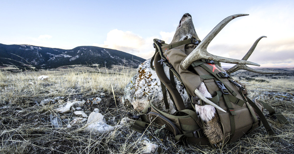 Top Packs for Hunting Season Shoot On