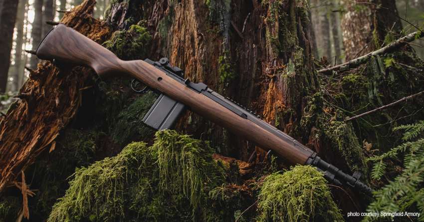 Go Light Hit Hard Scout Rifles Are In Shoot On go-light-hit-hard-scout-rifles-are-in-shoot-on