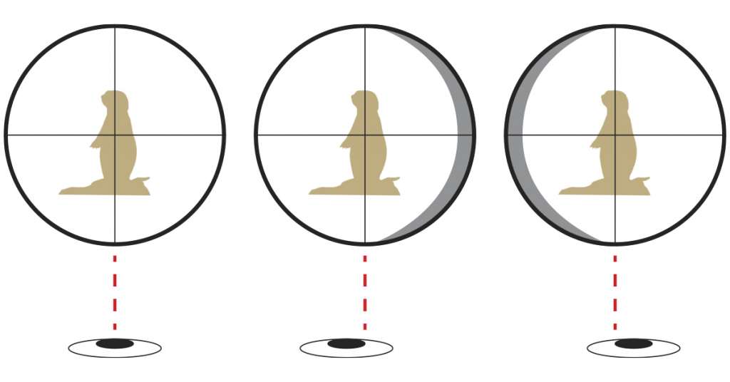 Optics 411 Zeroing in on Rifle Scopes Shoot On