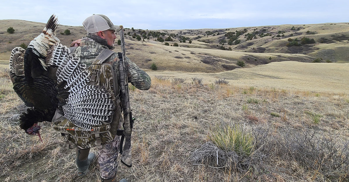 NEWEST VS LATEST visual data 6