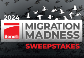 2024 Benelli Migration Madness Sweepstakes