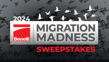 2024 Benelli Migration Madness Sweepstakes