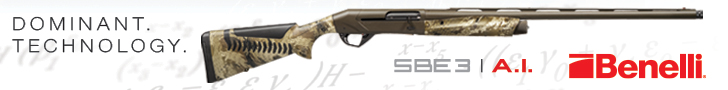 Benelli