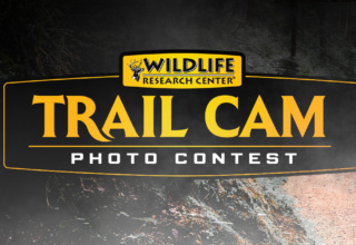 Wildlife Research Center Photo Contest