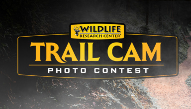Wildlife Research Center Photo Contest