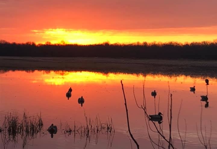 Strait Lake Lodge private Waterfowl hunting destination, located in the finest green timber in Arkansas