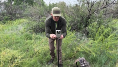 Moultrie Edge 2 Pro Review: Cellular Trail Camera For Serious Hunters