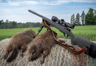 Field Test: Bergara Bmr X Carbon .17 Hmr