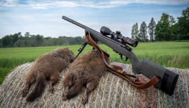 Field Test: Bergara Bmr X Carbon .17 Hmr