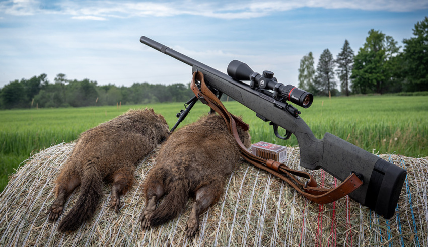 Field Test: Bergara Bmr X Carbon .17 Hmr