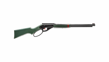 Daisy Introduces Woodland Trail Model 1999 Bb Gun