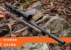 Under .5 @ 50: Build Your Own Precision 10/22, Pt. 1