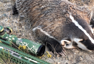 The .22 Nosler: The Ultimate Varmint And Mid Sized Game Cartridge?