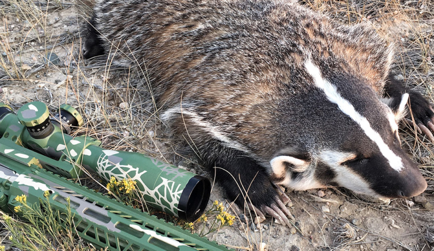 The .22 Nosler: The Ultimate Varmint And Mid Sized Game Cartridge?