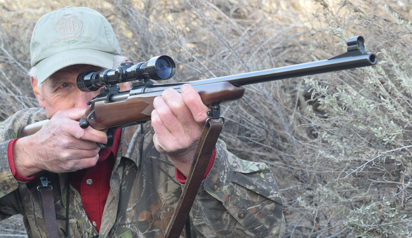 Rifles Too Accurate To Be Interesting?