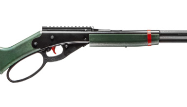 Daisy Woodland Trail Model 1999 Bb Gun