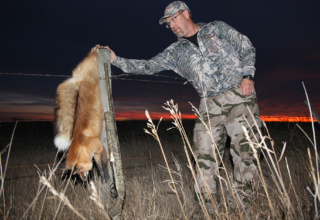 Shotgun: The Predator Hunter’s Secret Weapon