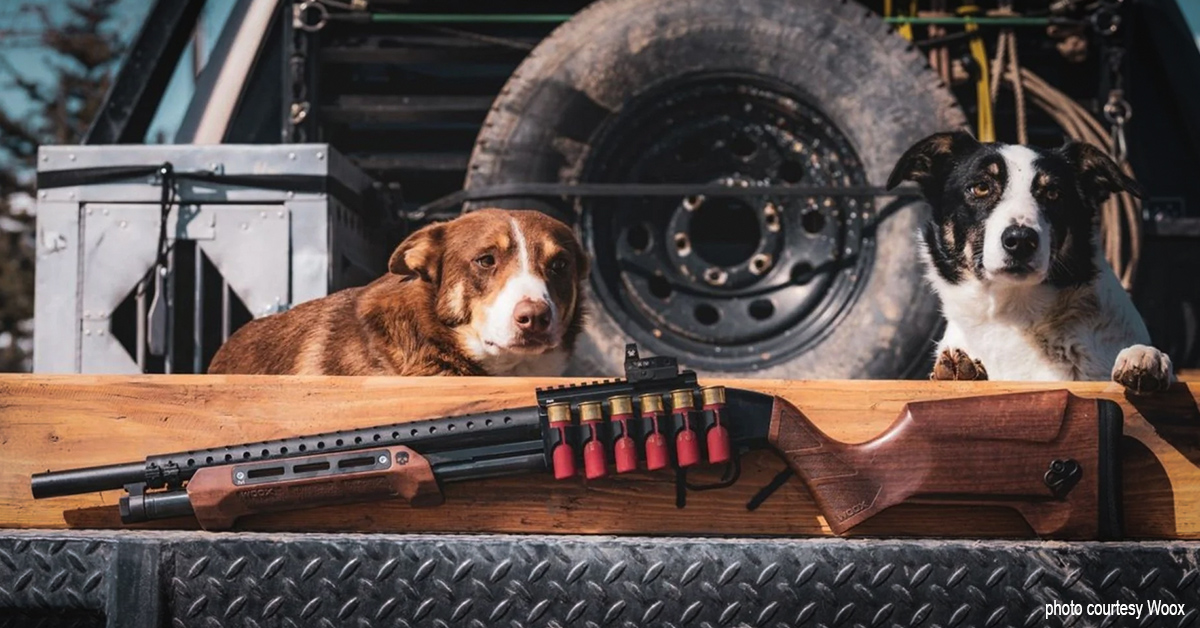 Shotgun Diy: Woox Gladiatore Stock And Forend Upgrade