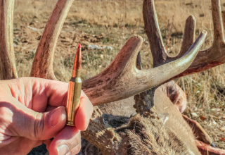 Exploring The 25 Creedmoor