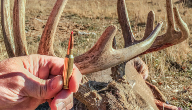 Exploring The 25 Creedmoor