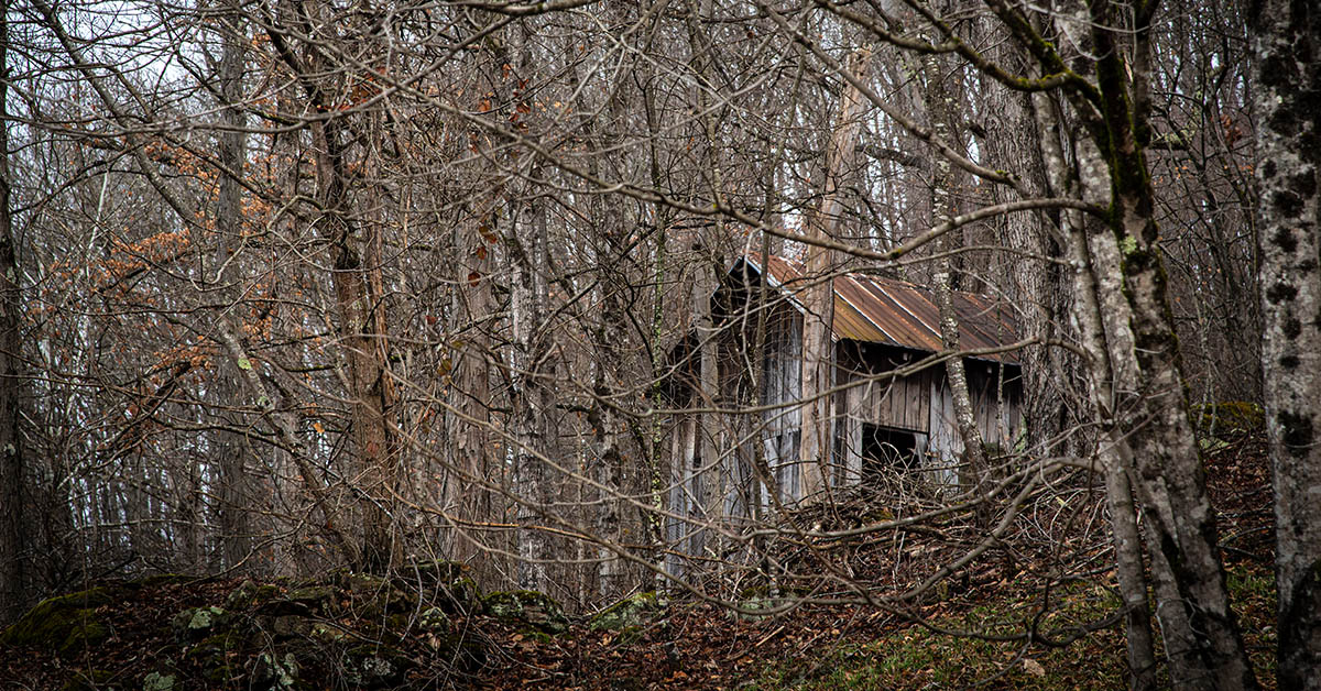 Coon Hunting Goes High Tech