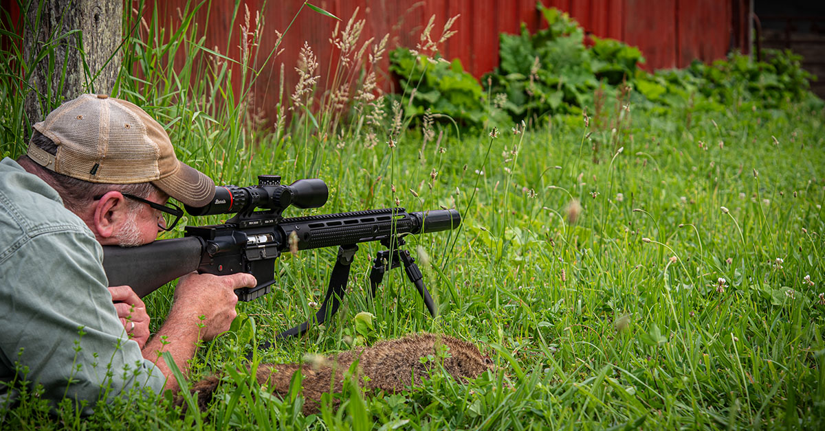 Summer Varmint Hunting…and Eating!