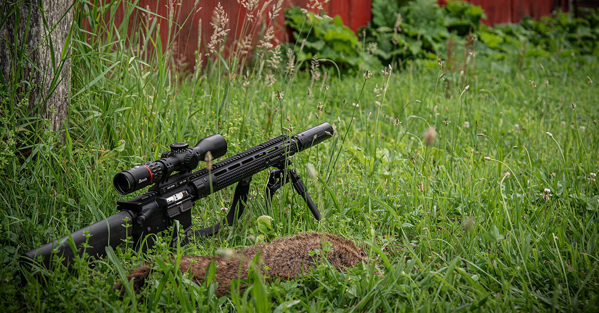 Summer Varmint Hunting…and Eating!