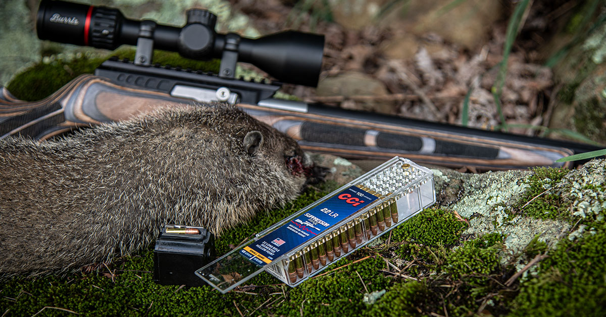 Summer Varmint Hunting…and Eating!