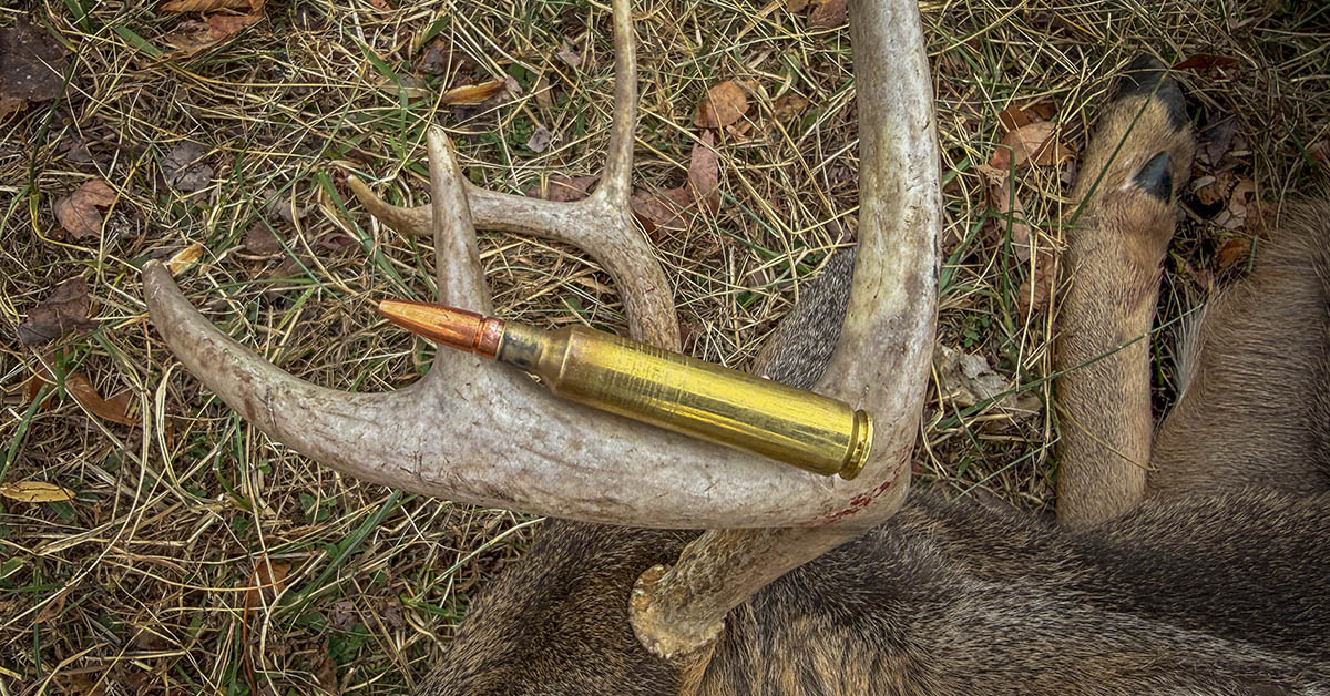The 25 Rpm: Weatherby’s New Quarter Bore