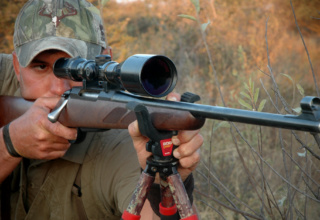 Scopes From Abroad