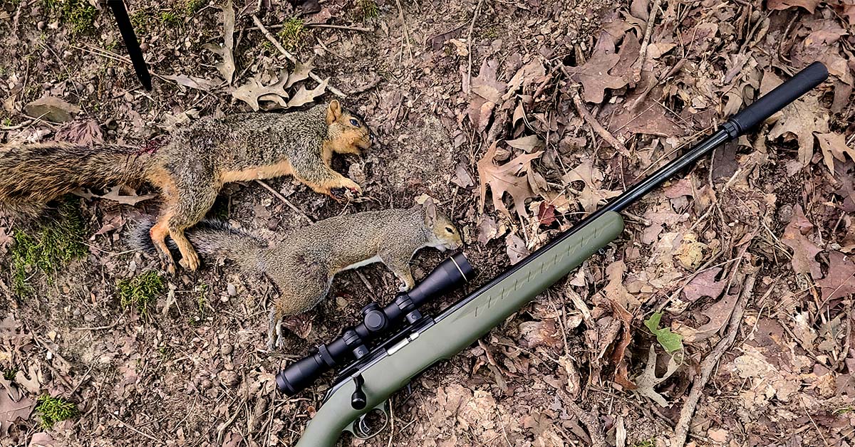 This Year’s Top Suppressors