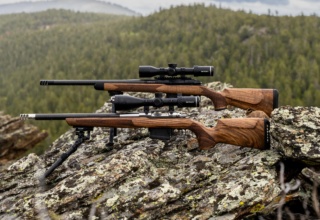 Woox Elegante Hybrid Bolt Action Stock Debuts