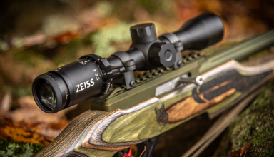 The Best Rimfire Riflescope Under $300 Is A Zeiss?