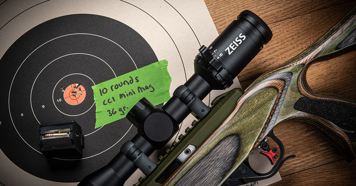 The Best Rimfire Riflescope Under $300 Is A Zeiss?