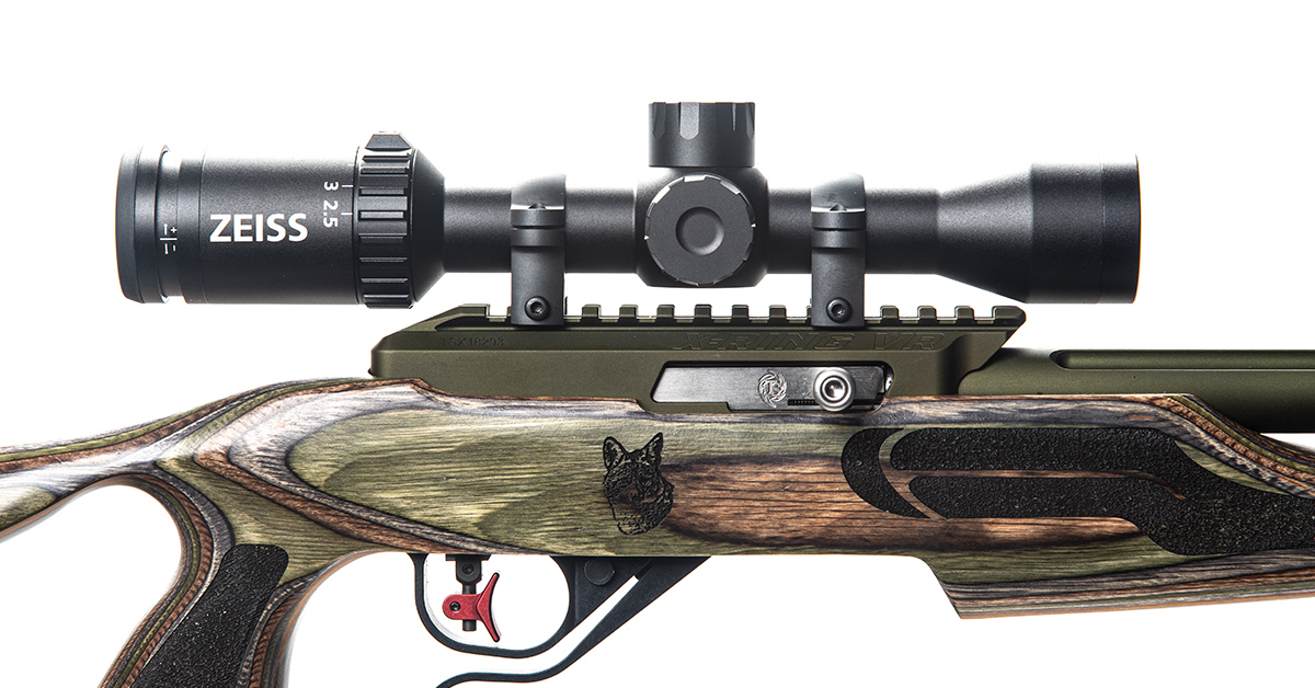 The Best Rimfire Riflescope Under $300 Is A Zeiss?